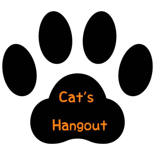 Cat's Hangout